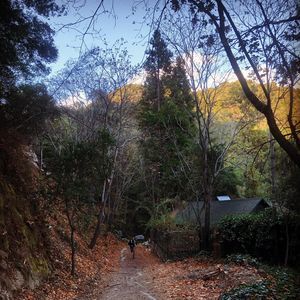 Meet your Posher, Jesse